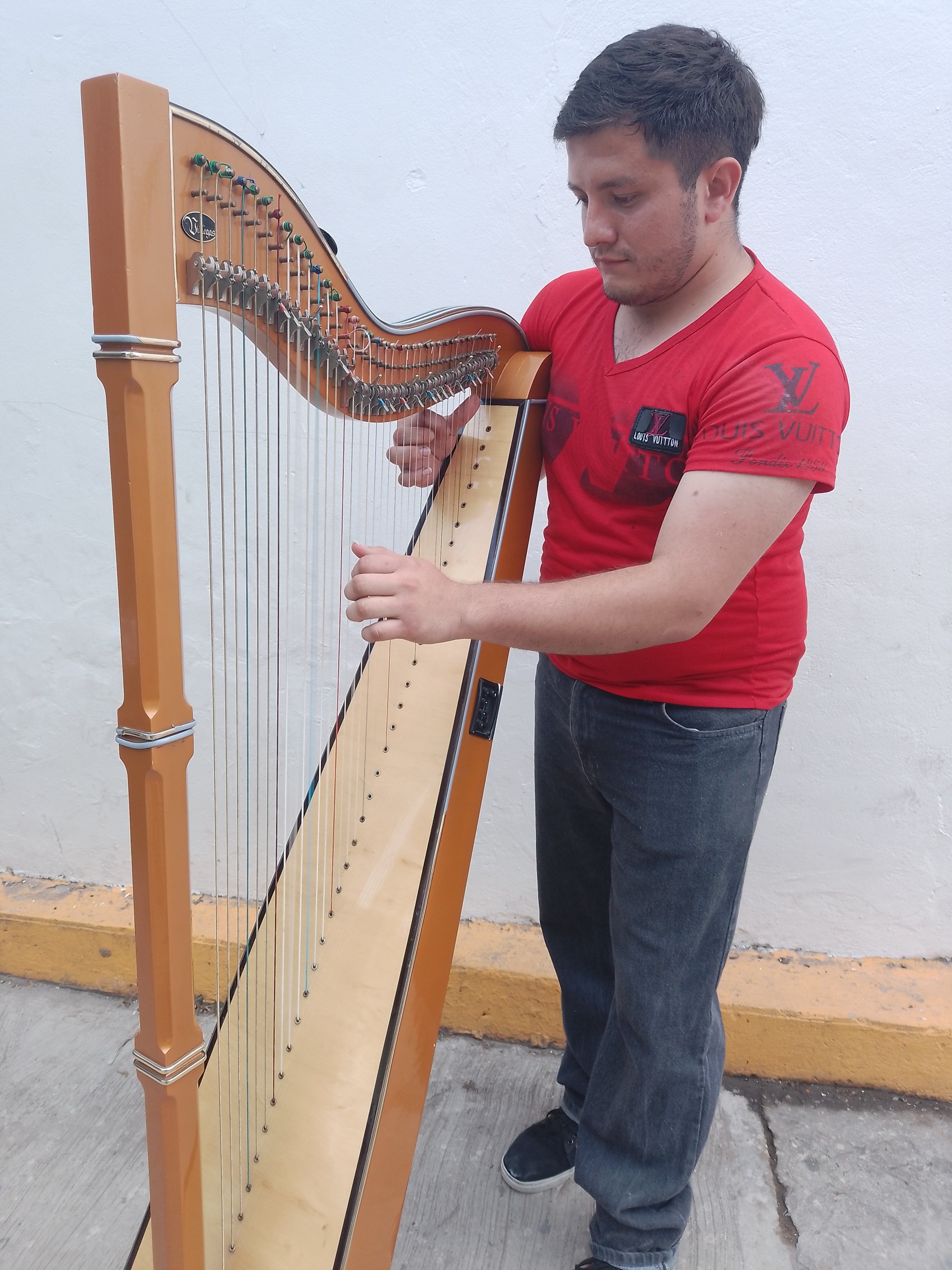 Festival del arpa de Cerrillos de Díaz,  patrimonio cultural de Veracruz