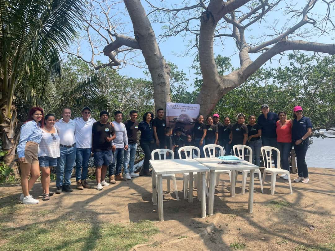 Inician recorridos de vigilancia y  protección de la tortuga lora en La Antigua