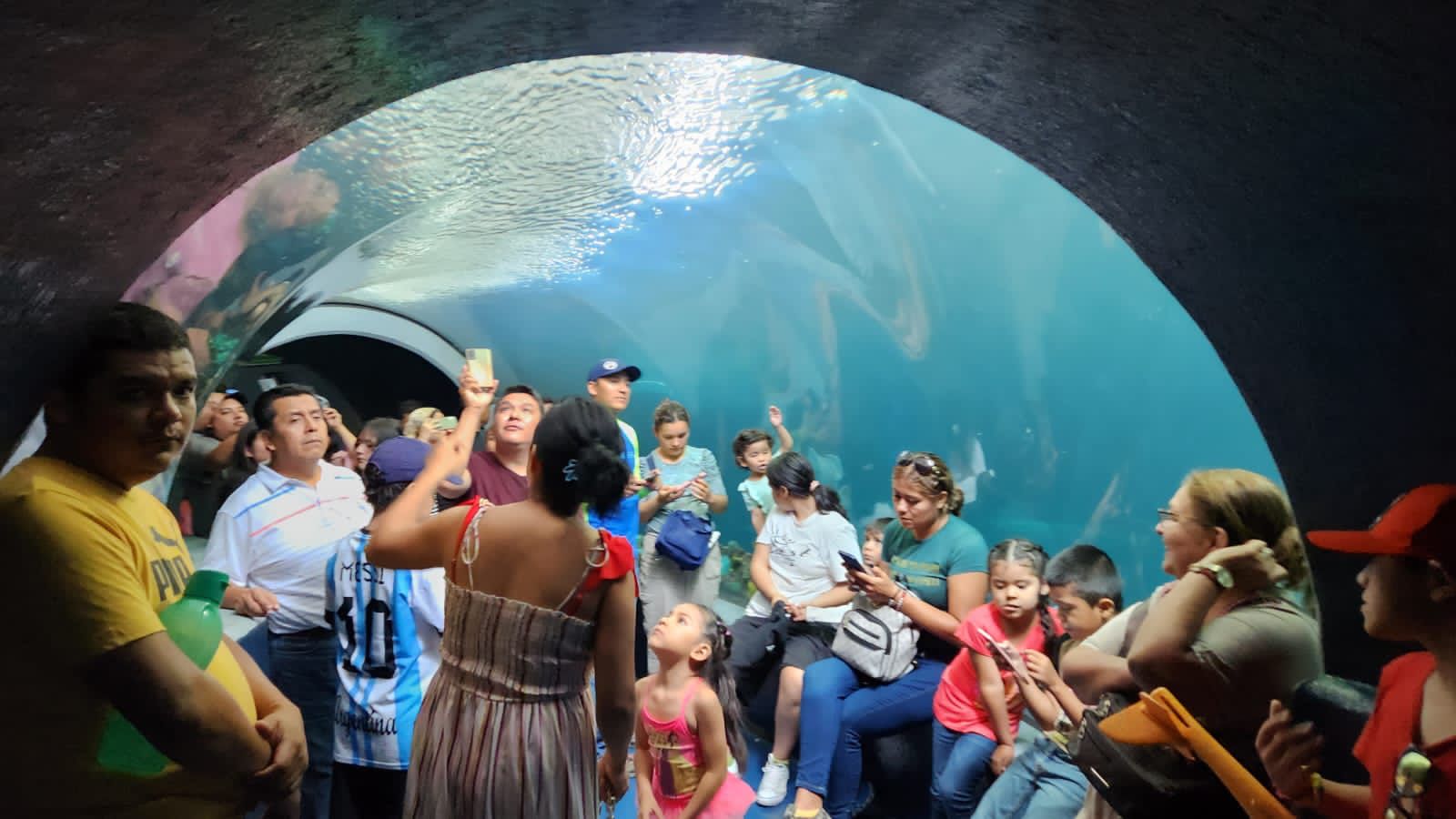 Turistas abarrotan el Aquarium del puerto de Veracruz esta Semana Santa