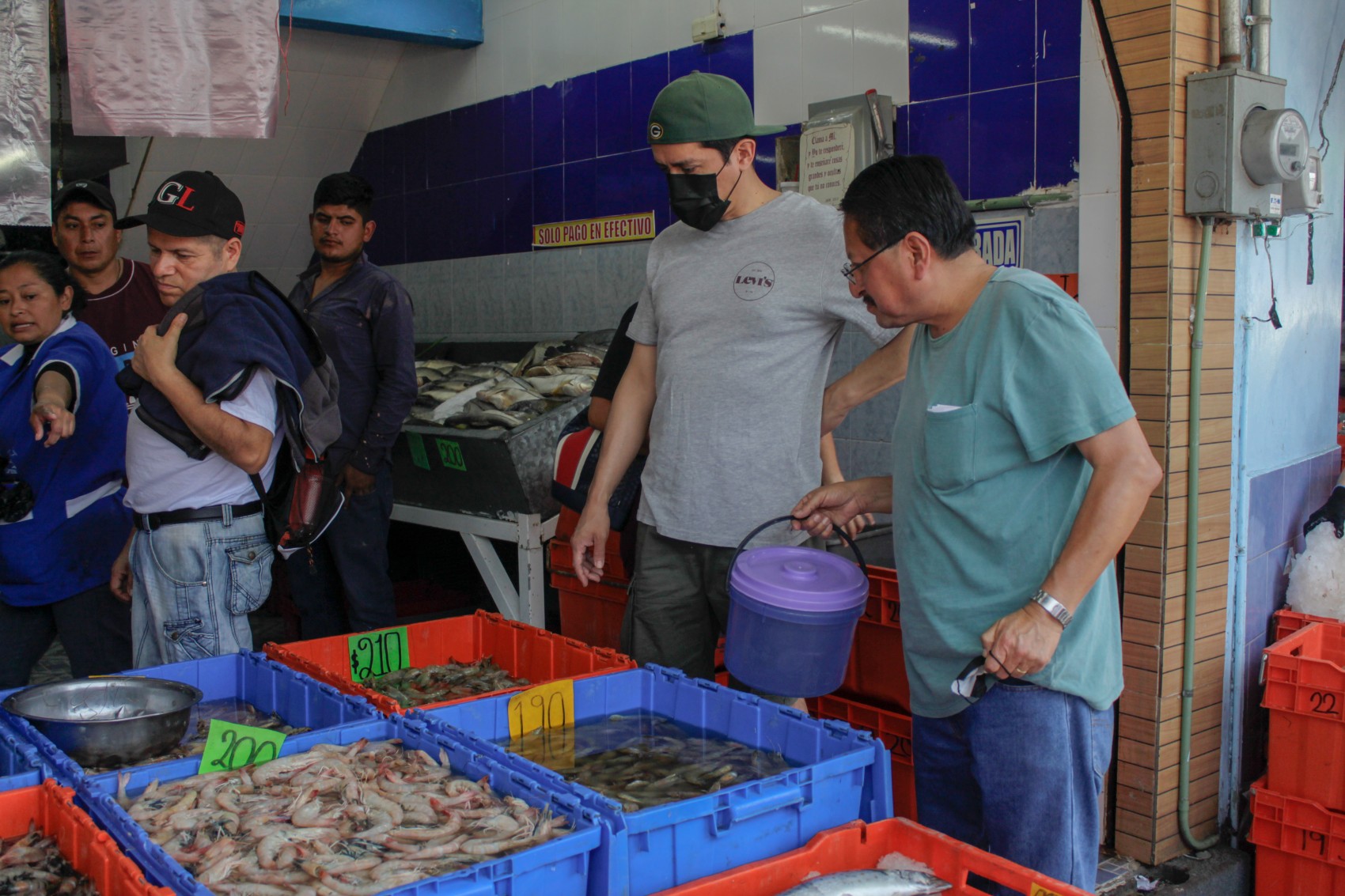 Temporada de cuaresma: ¿De dónde viene el pescado que comemos?