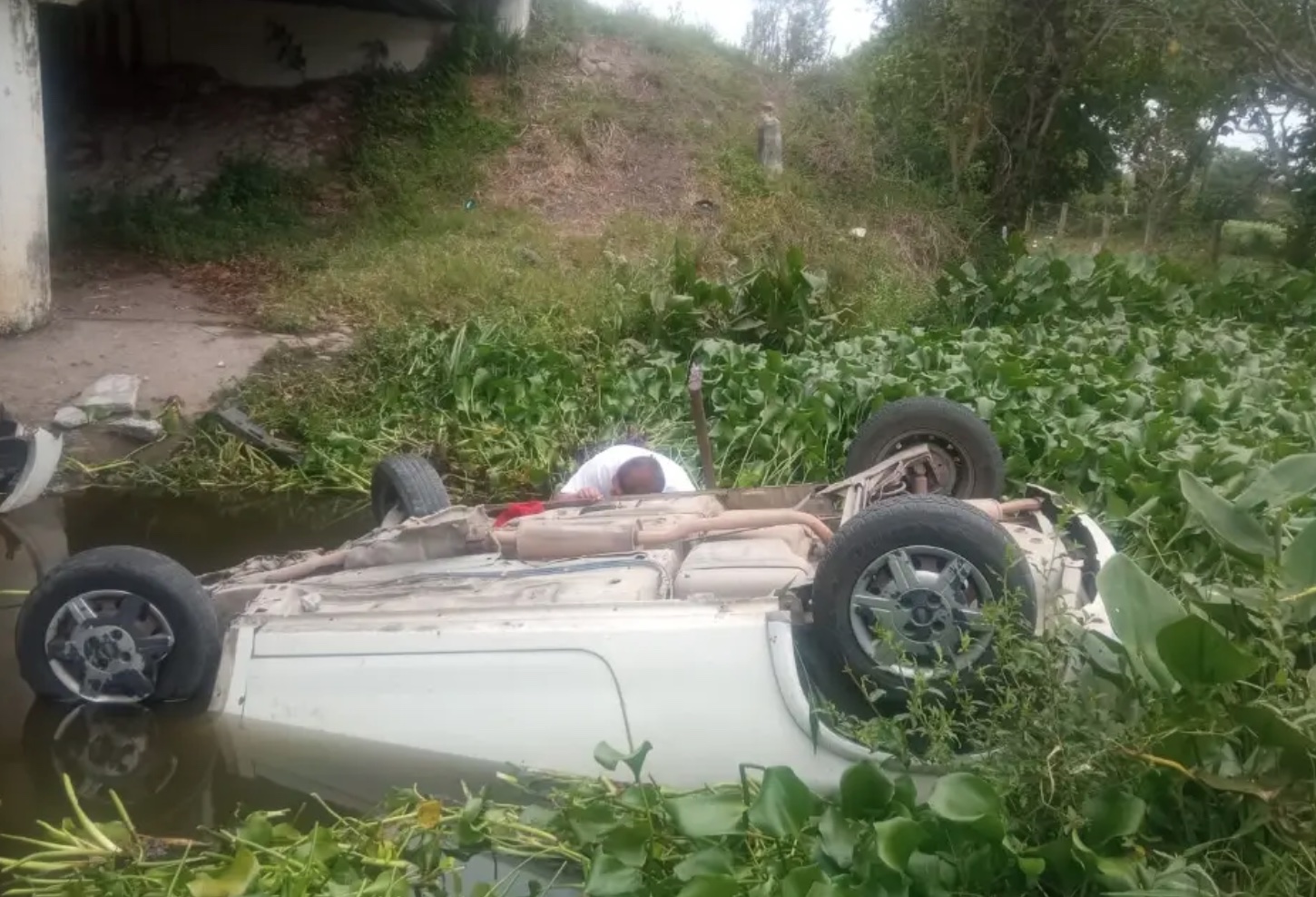 Vuelcan, caen a laguna en Alvarado y casi se ahogan