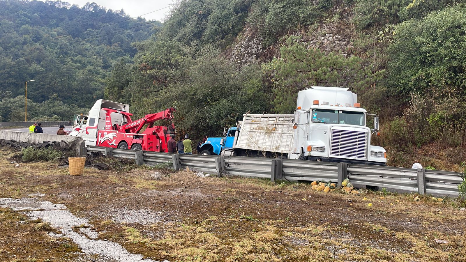 Rapiñeros roban carga de piña luego de volcadura de camión en la autopista Orizaba-Puebla