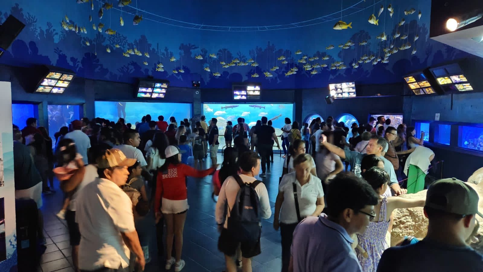 Recibió Aquarium de Veracruz cerca de 100 mil visitantes en vacaciones