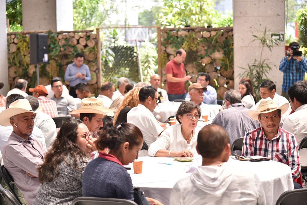 Veracruz aporta experiencia a Ley Federal de Fomento a la Caficultura: Nora Lagunes