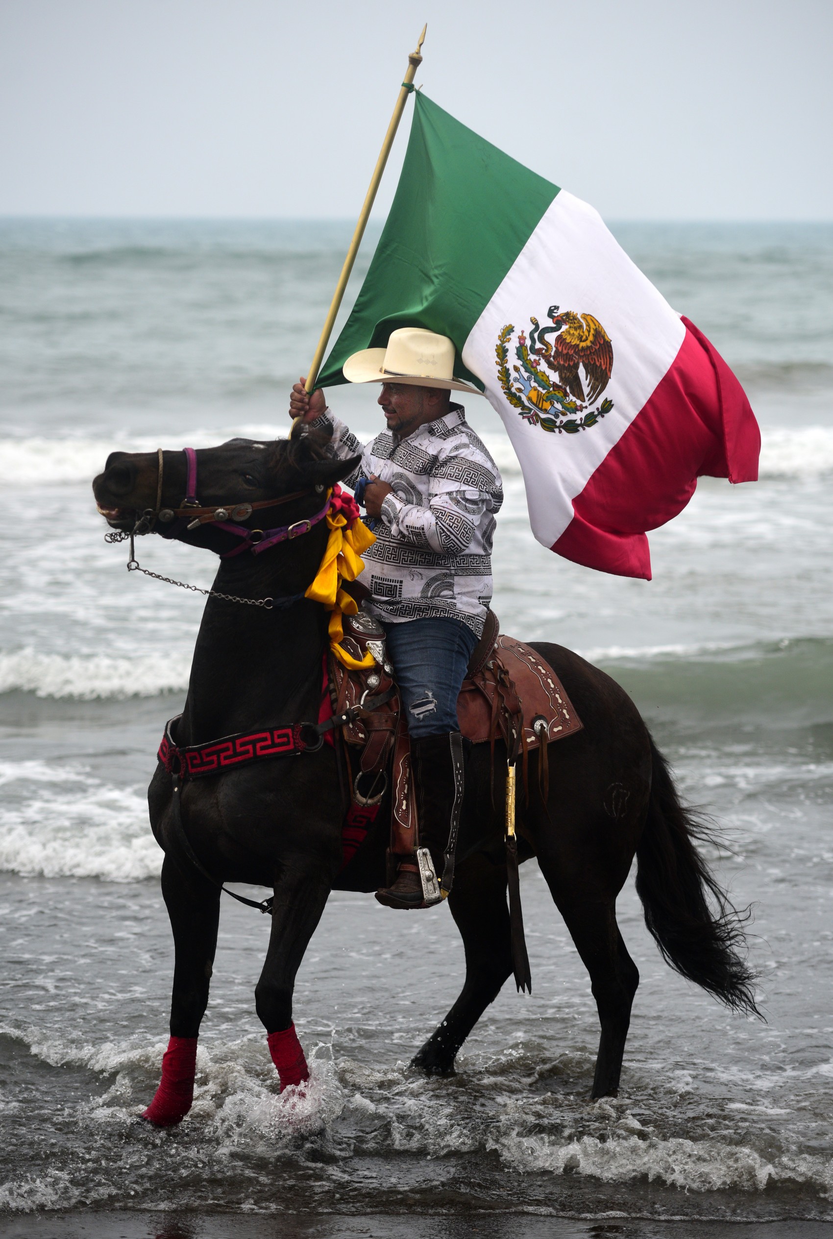 Con la participación de mas de dos mil caballos y sus respectivos jinetes, este sábado se celebró la magna cabalgata por los 504 años de la presencia del caballo en México.