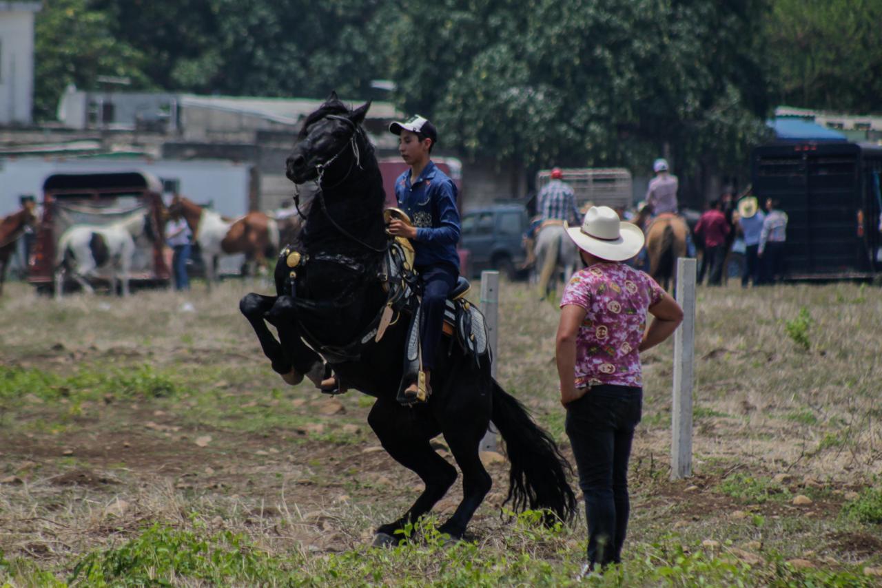 El caballo, presencia indiscutible en la historia de México