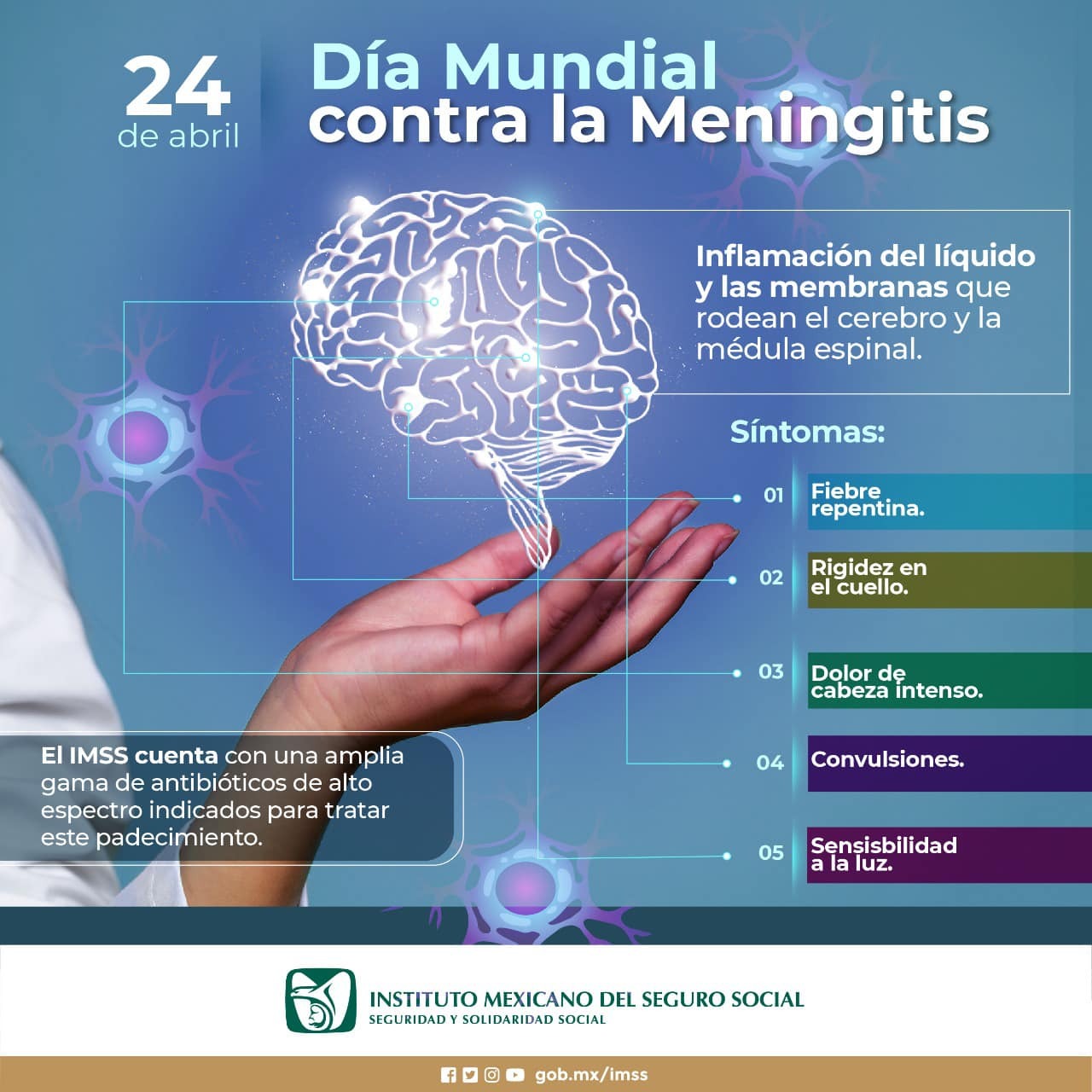 Alerta con la meningitis, los daños pueden ser graves