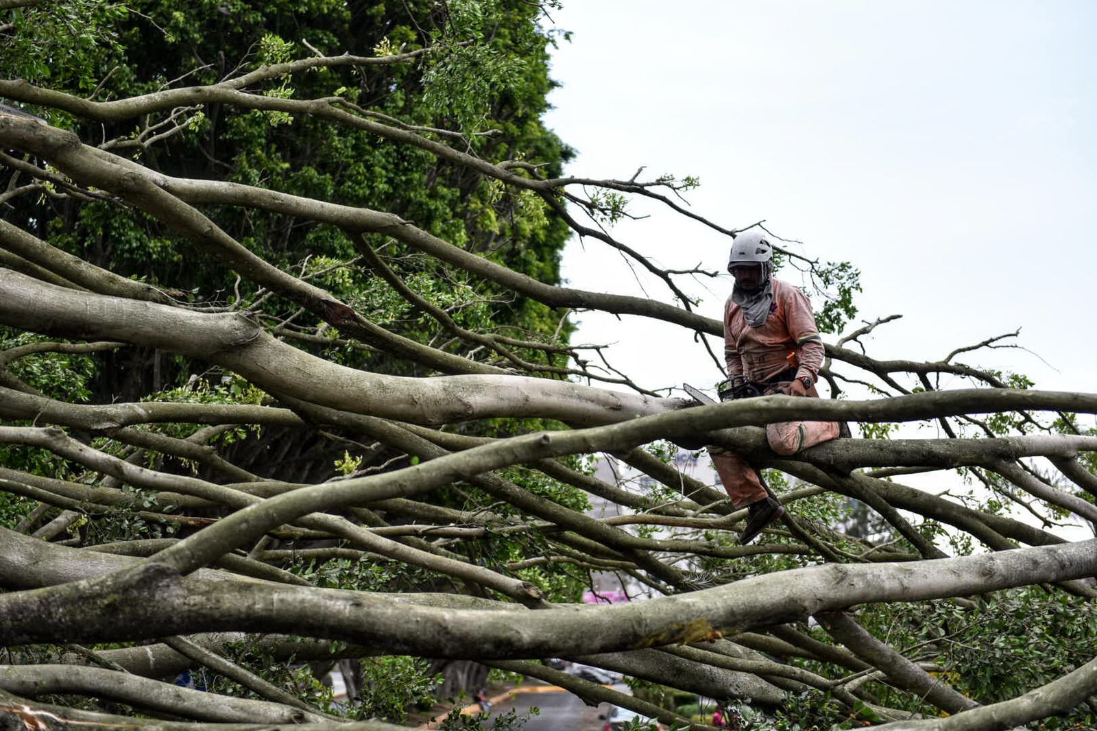 Alertan por norte de hasta 85 km/h y bajas temperaturas en Xalapa