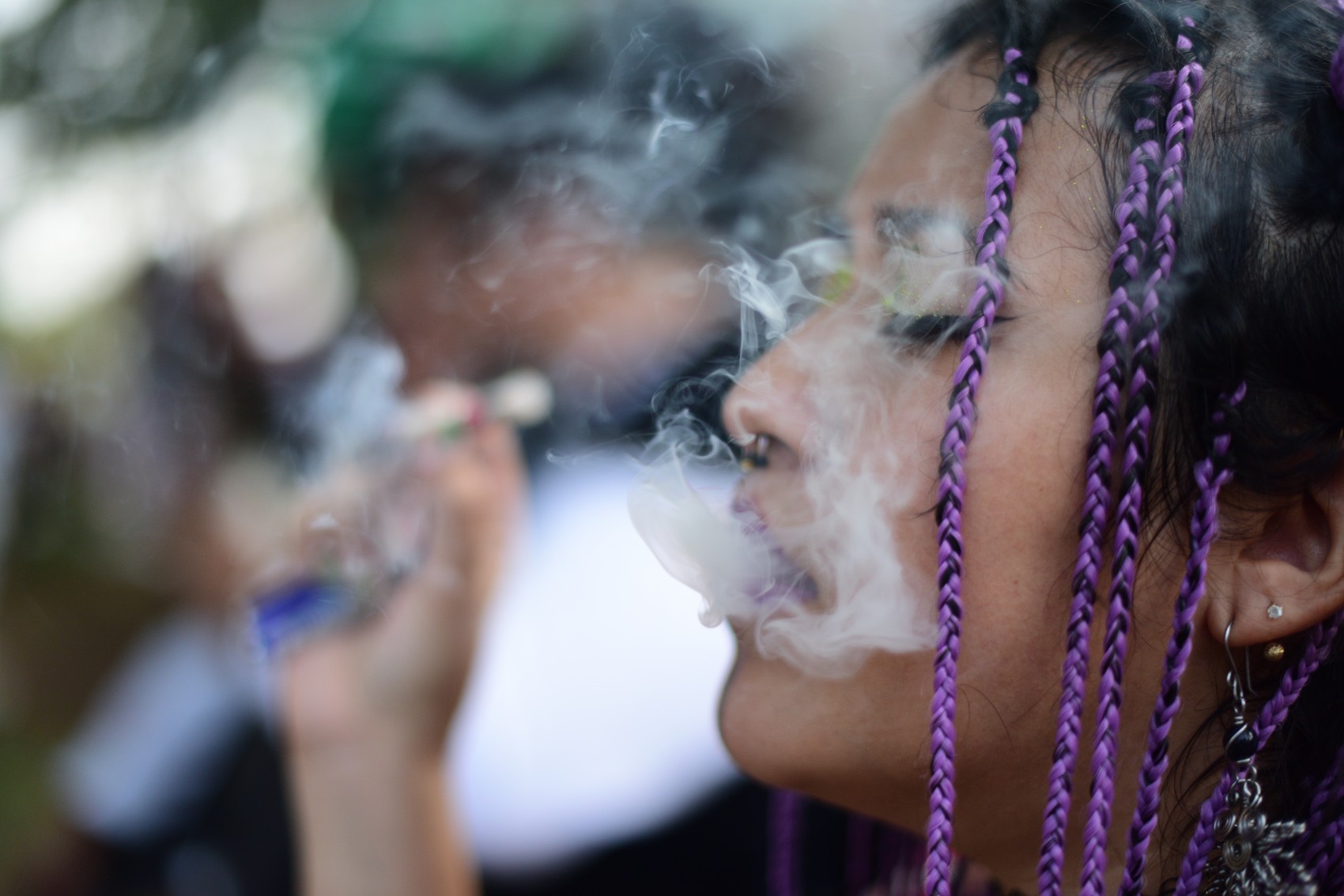 Plantón cannábico para exigir uso legal de la marihuana