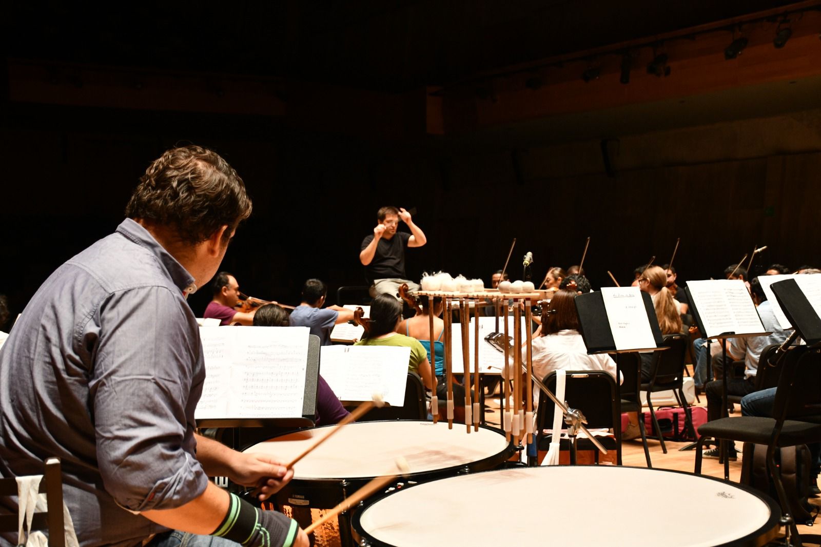 Próximo Concierto de la Orquesta Filarmónica Boca del Río-Veracruz con Diego Naser como invitado