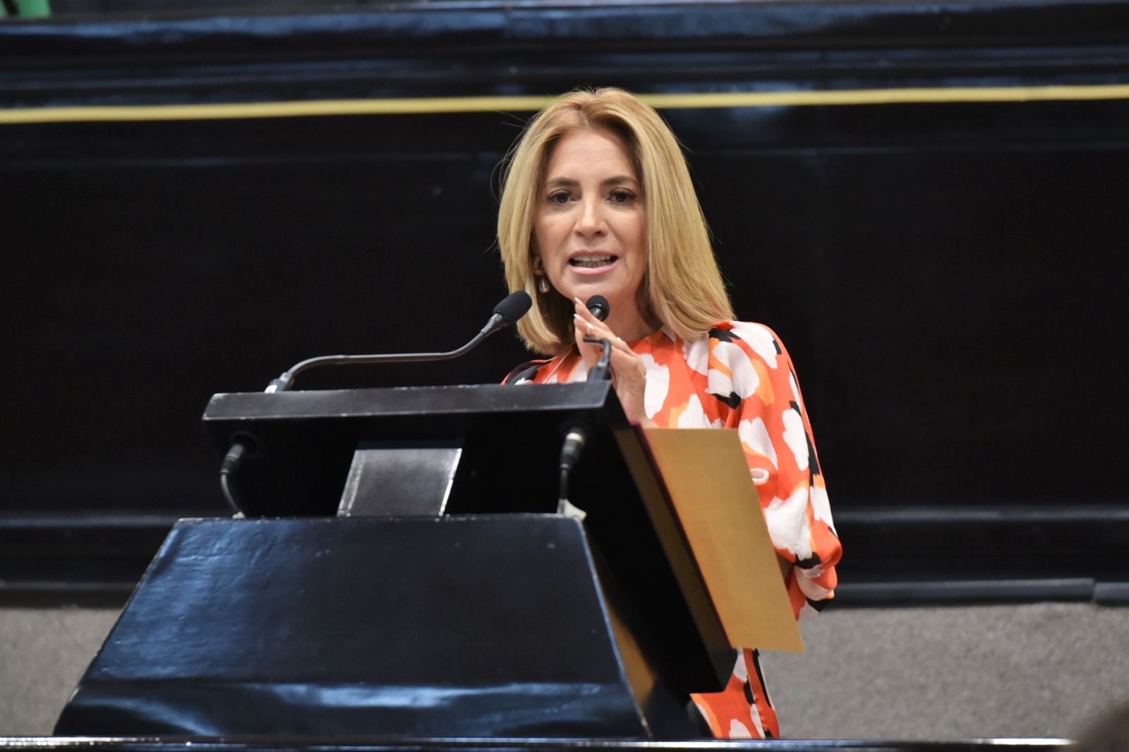 Presenta diputada iniciativa que amplía hipótesis para el delito de feminicidio
