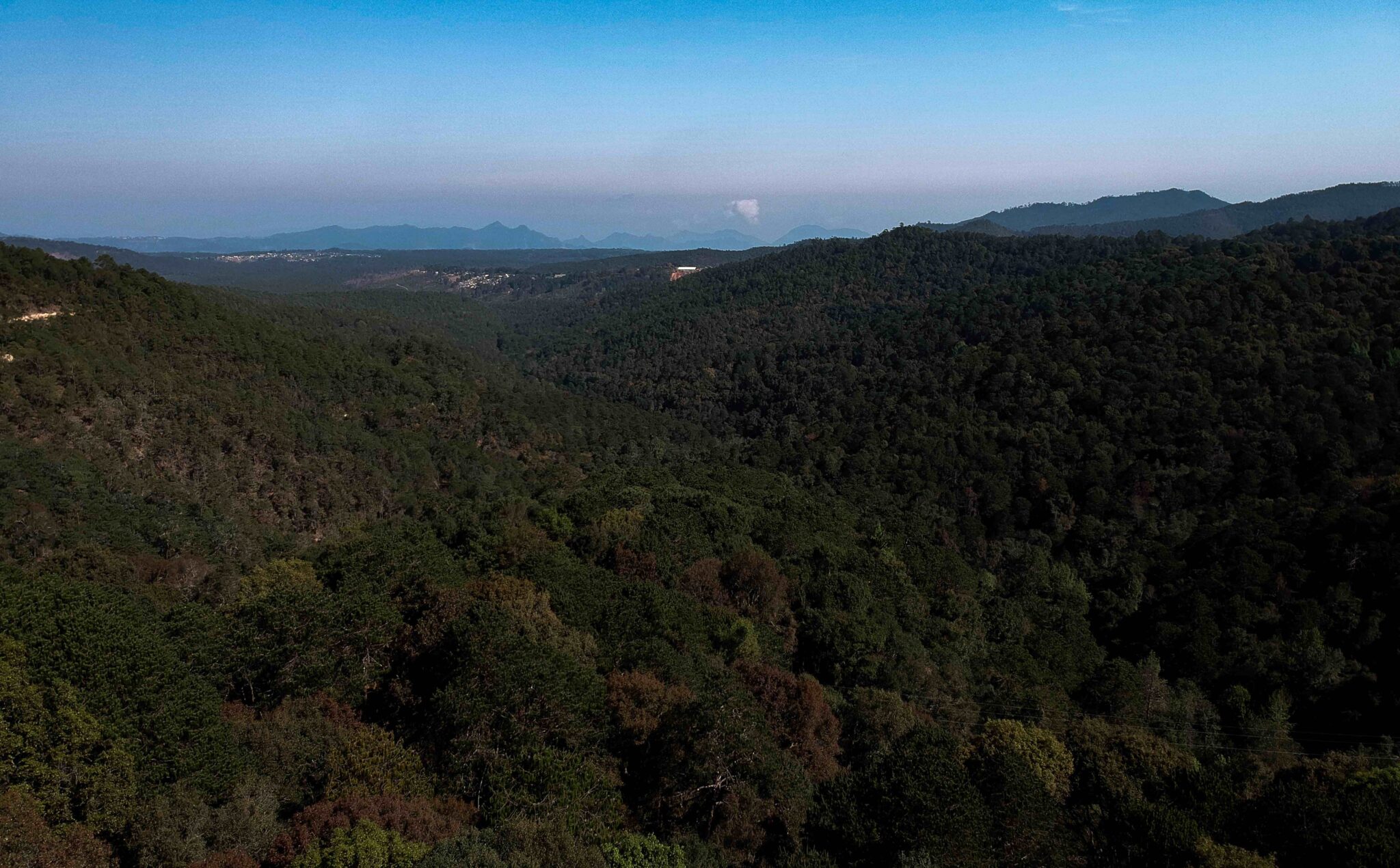 La Selva en Huayacocotla, comunidad que ha hecho del manejo del bosque parte de su historia