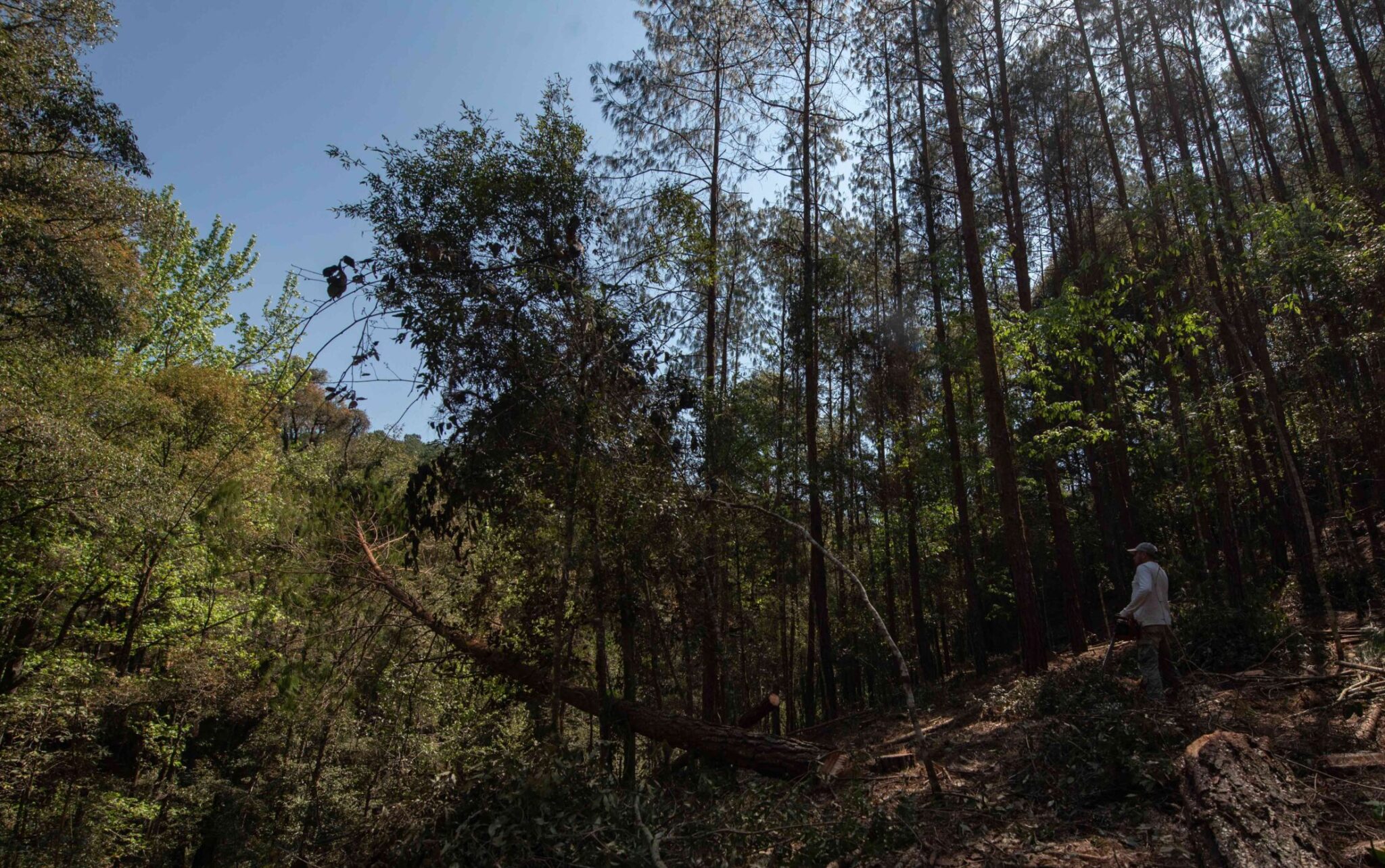 Xalapa — 13 may 2023
