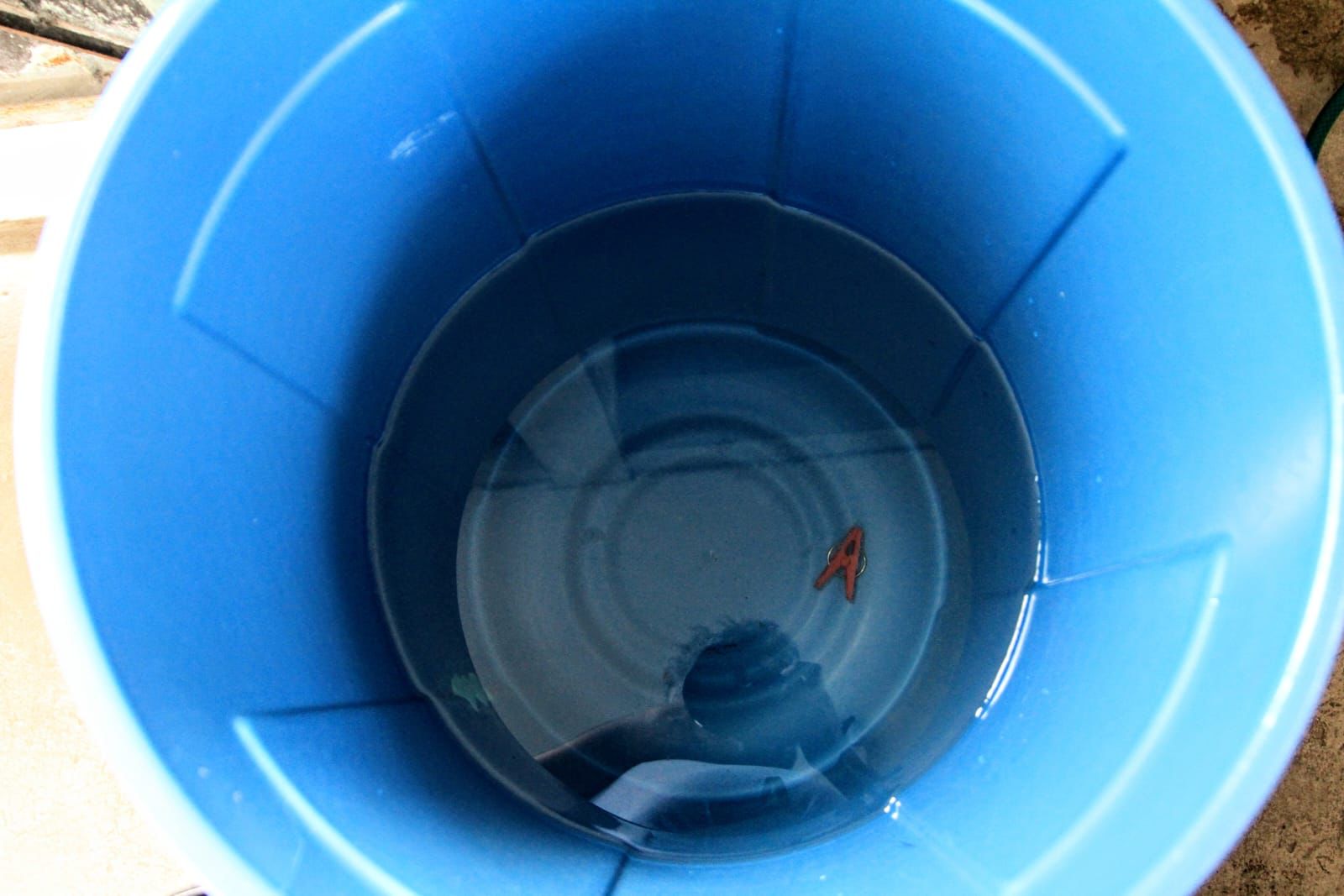 En Xalapa 30 colonias sin agua por reparación de línea de conducción dañada