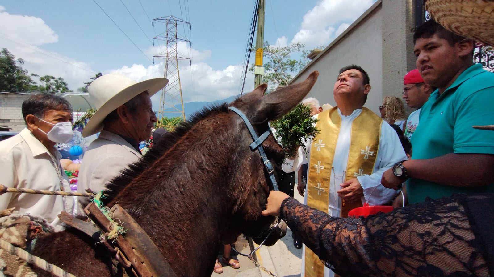 Un pecado incurrir en omisión de cuidados con los animales: Párroco