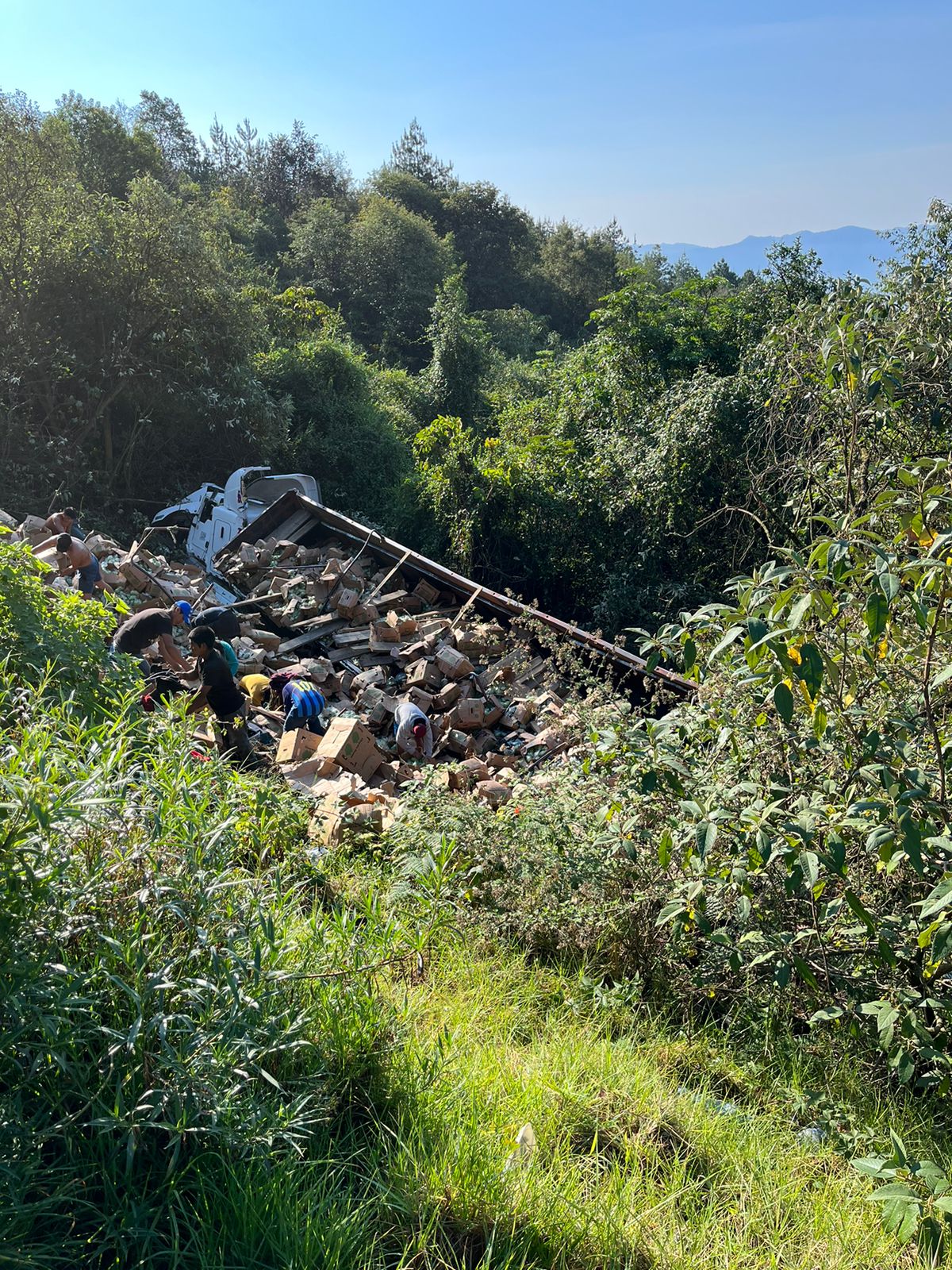 Tráiler cargado de chayote vuelca en la autopista Orizaba-Puebla