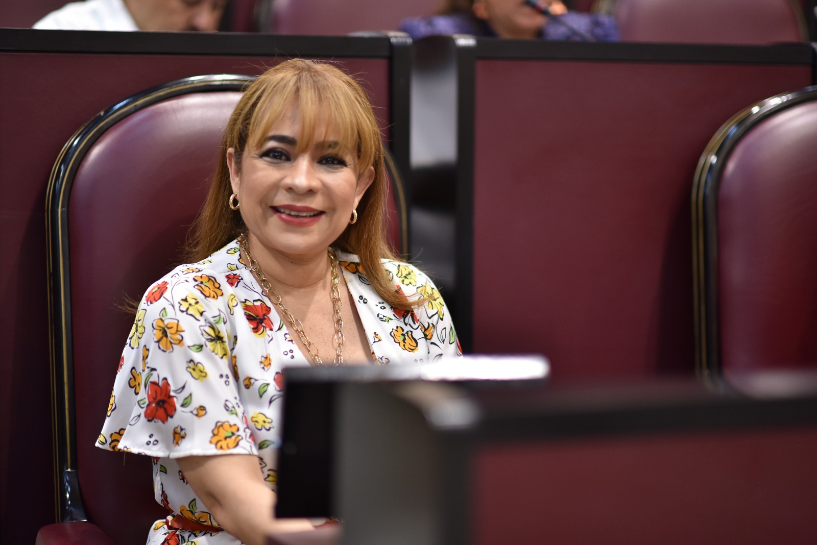 Impulsa Diputada creación de Direcciones Municipales de Desarrollo Urbano
