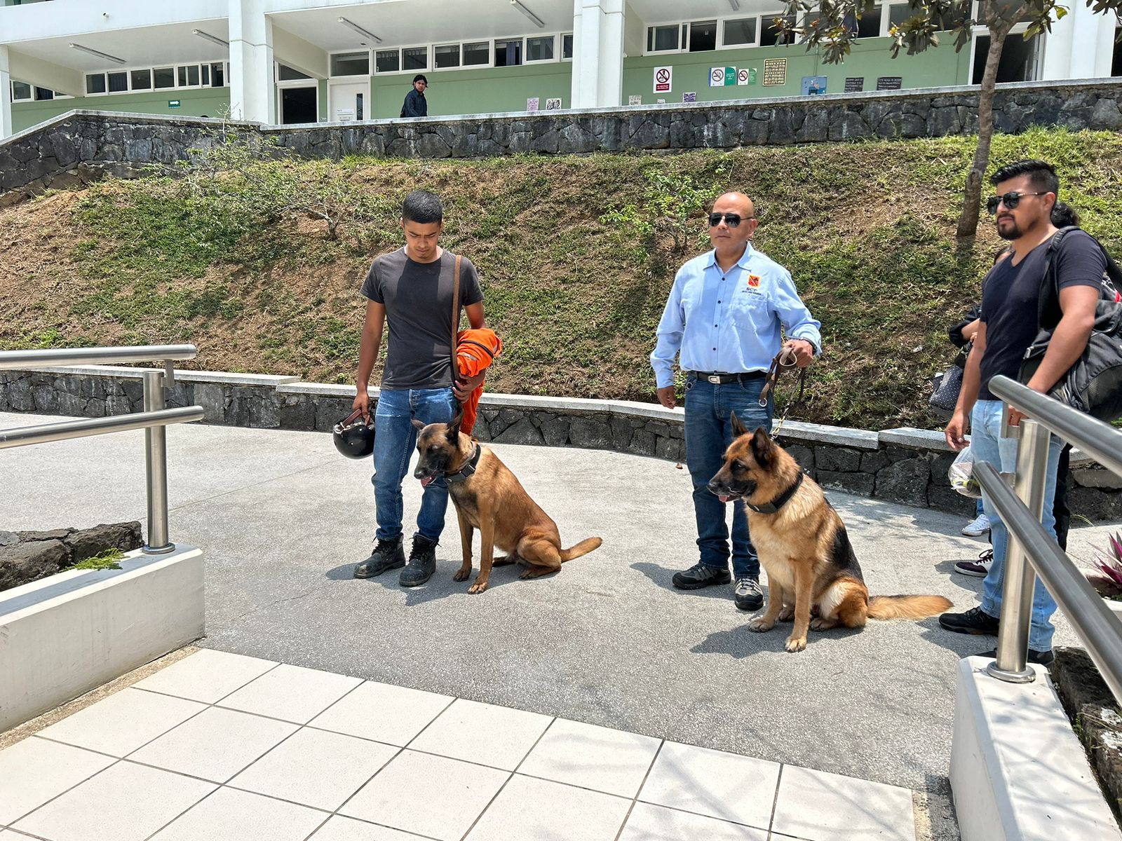 Veracruz solo cuenta con cinco perros certificados para la búsqueda de personas en vida