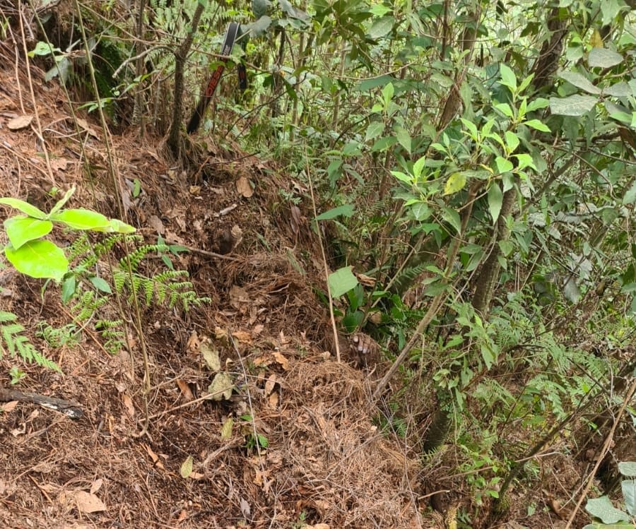Localizan cadáver en barranco de La Perla