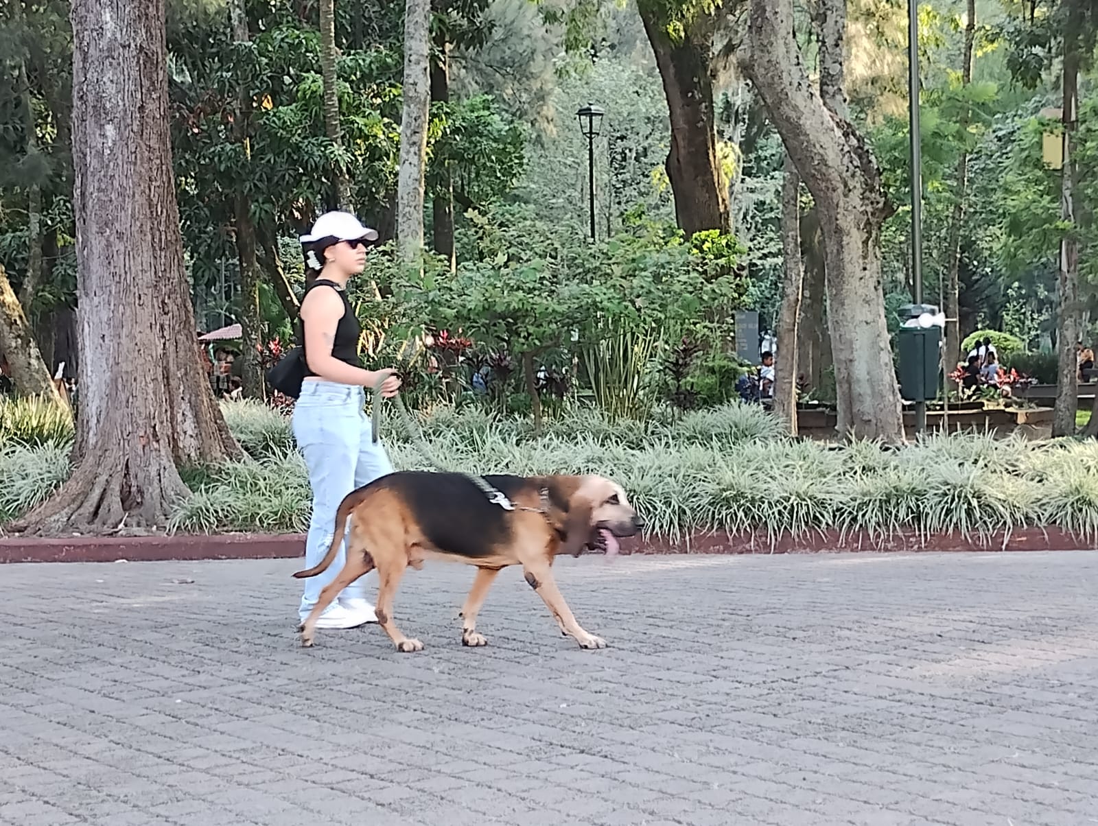 Xalapa supera record de temperatura en enero