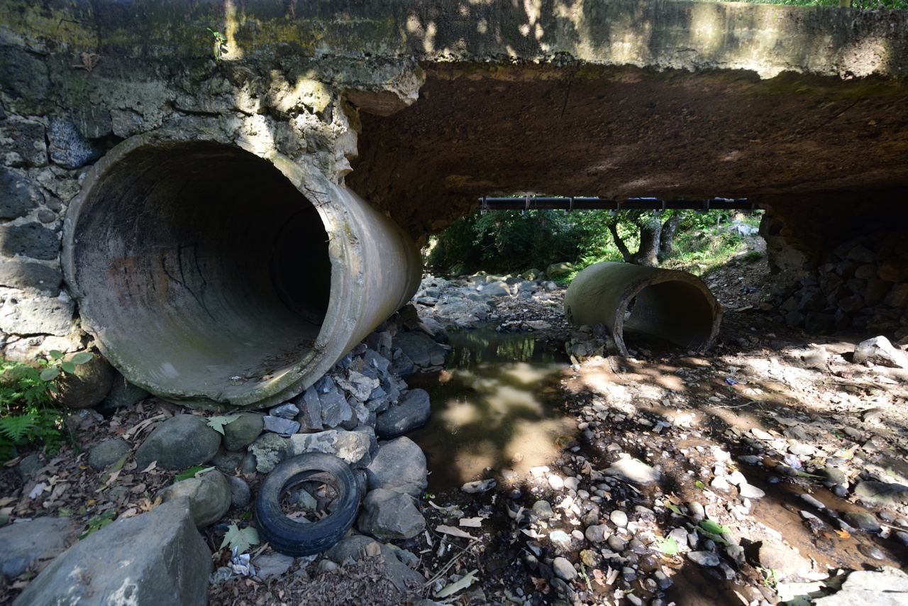 El 90 % de las colonias de Xalapa tendrán agua entre 7 y 10 días del mes de mayo