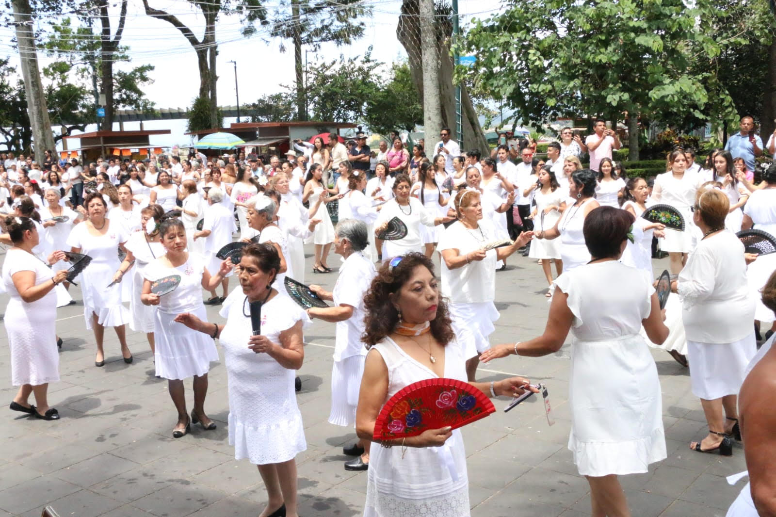 Más de 500 participantes en baile de danzón masivo en Xalapa