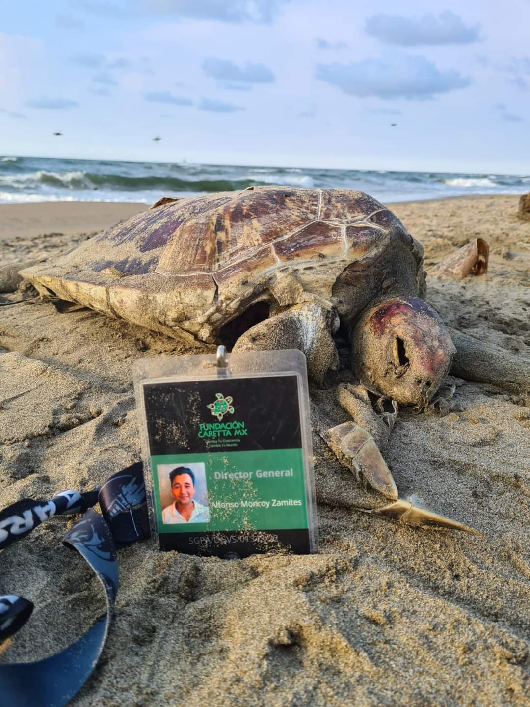 Contaminadas con combustóleo 5 km de playas en el sur de Veracruz