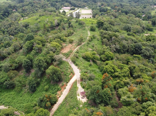Club de equitación y fraccionamiento se construyen sin permiso en bosque de niebla, denuncian