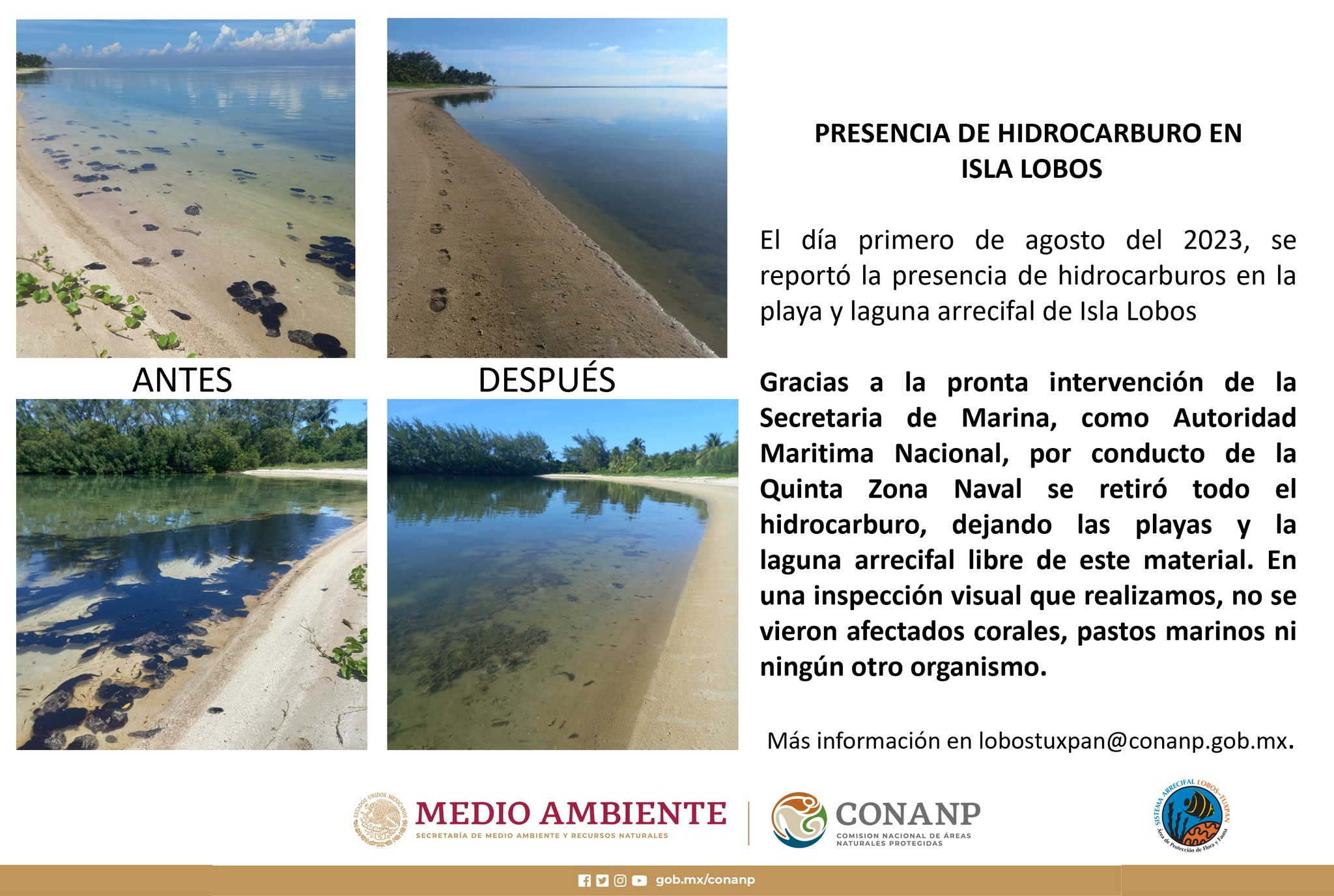 Detectan manchas de petróleo en sistema arrecifal Lobos-Tuxpan