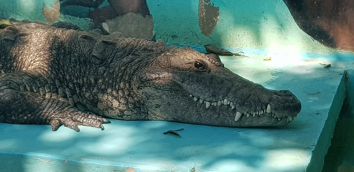 Continúa Un museo para ti en su red de recintos culturales de Huatusco y Tlacotalpan