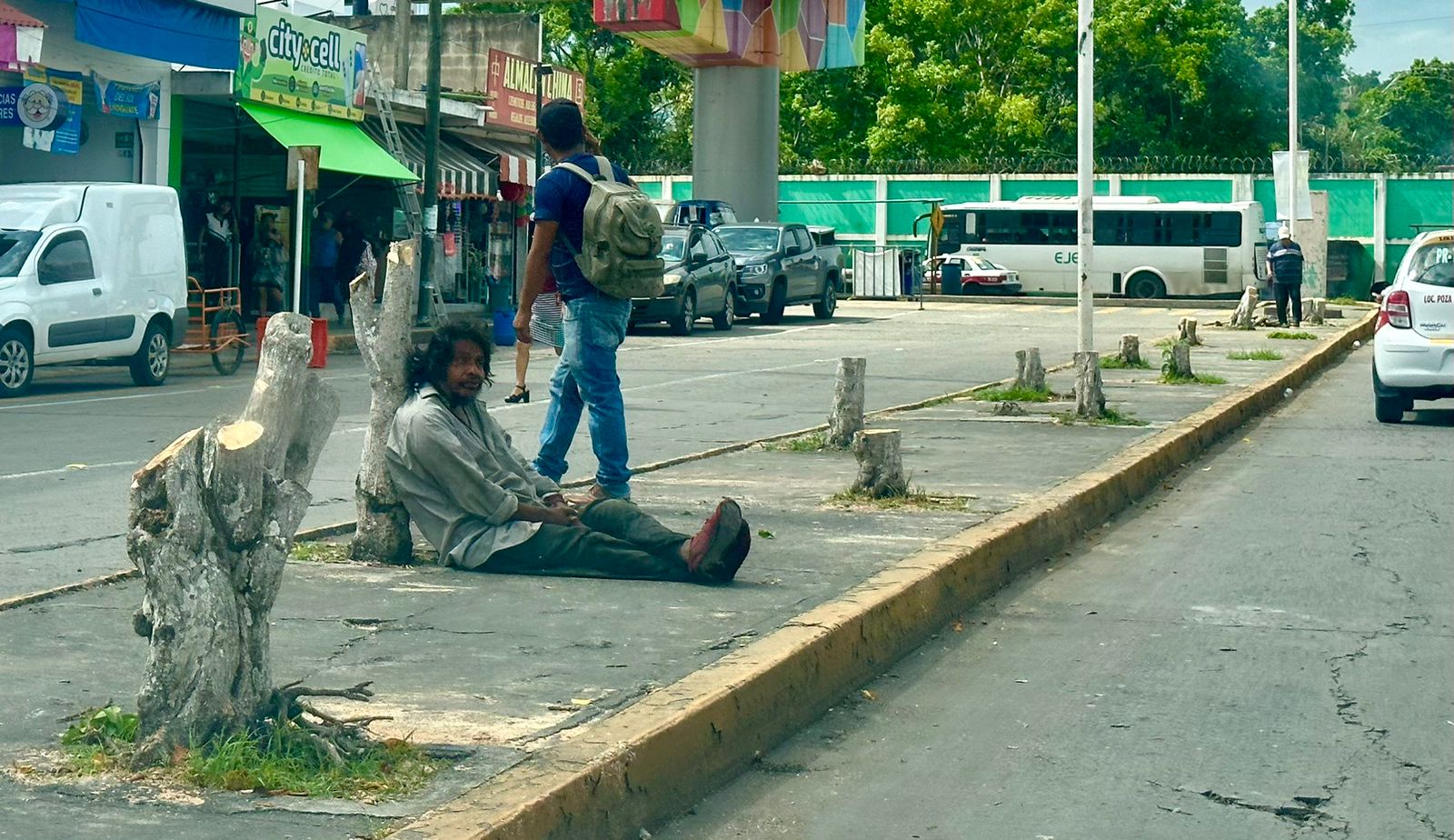 Derriban árboles en Poza Rica para emprender programa de mejoramiento de imagen urbana