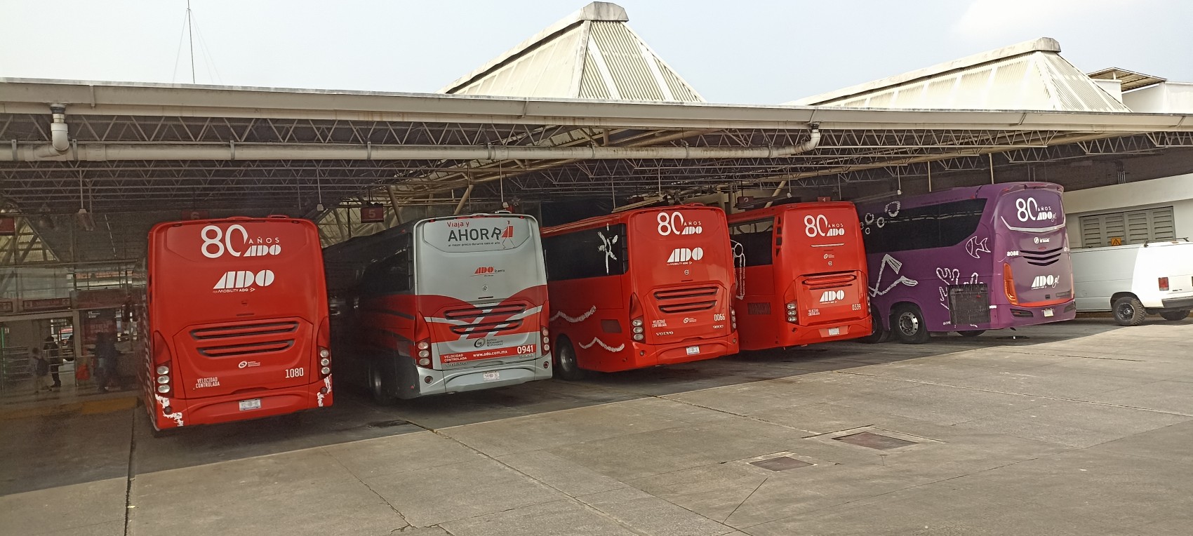 Operan en la irregularidad compañías del autotransporte federal de pasajeros: ADO