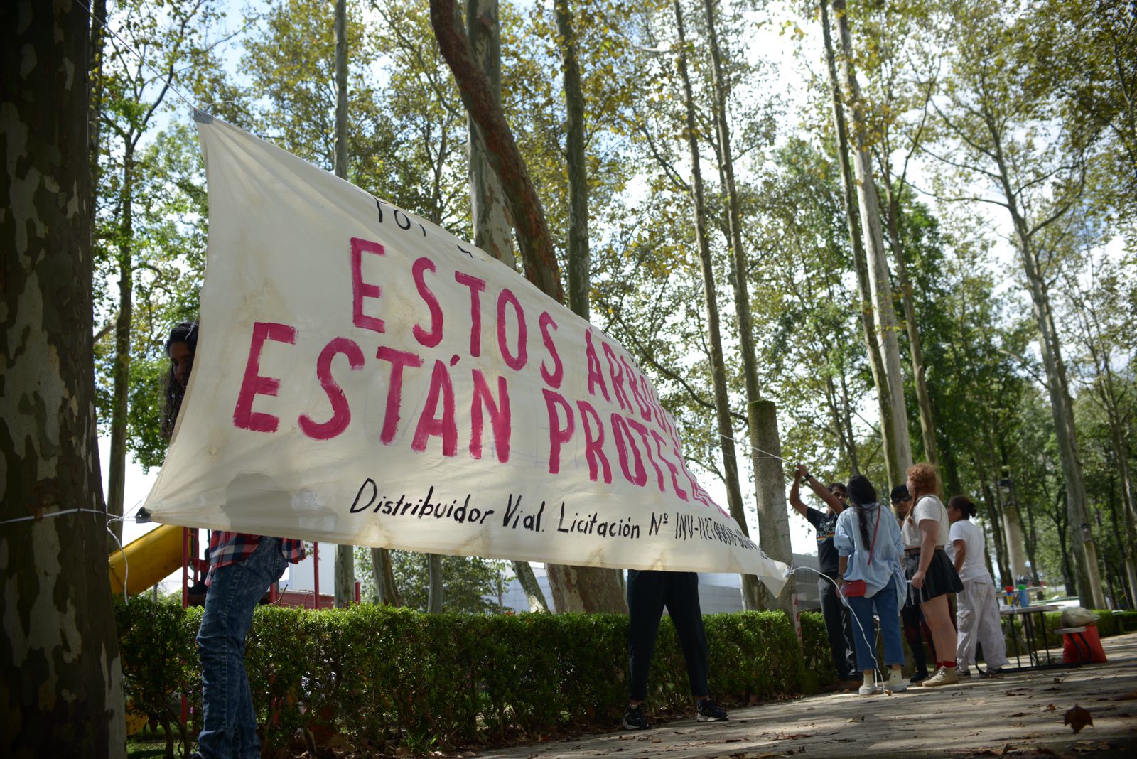Marcan árboles con riesgo de ser talados para construcción del distribuidor vial Ruiz Cortines