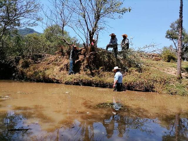 hombre es localizado sin vida en arroyo de Xoxocotla