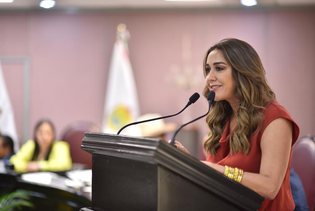 Percepción de inseguridad es generalizada en la zona sur: Diputada