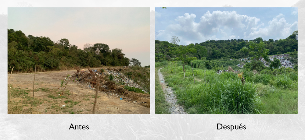 Investigador UV desarrolla proyectos de restauración ecológica