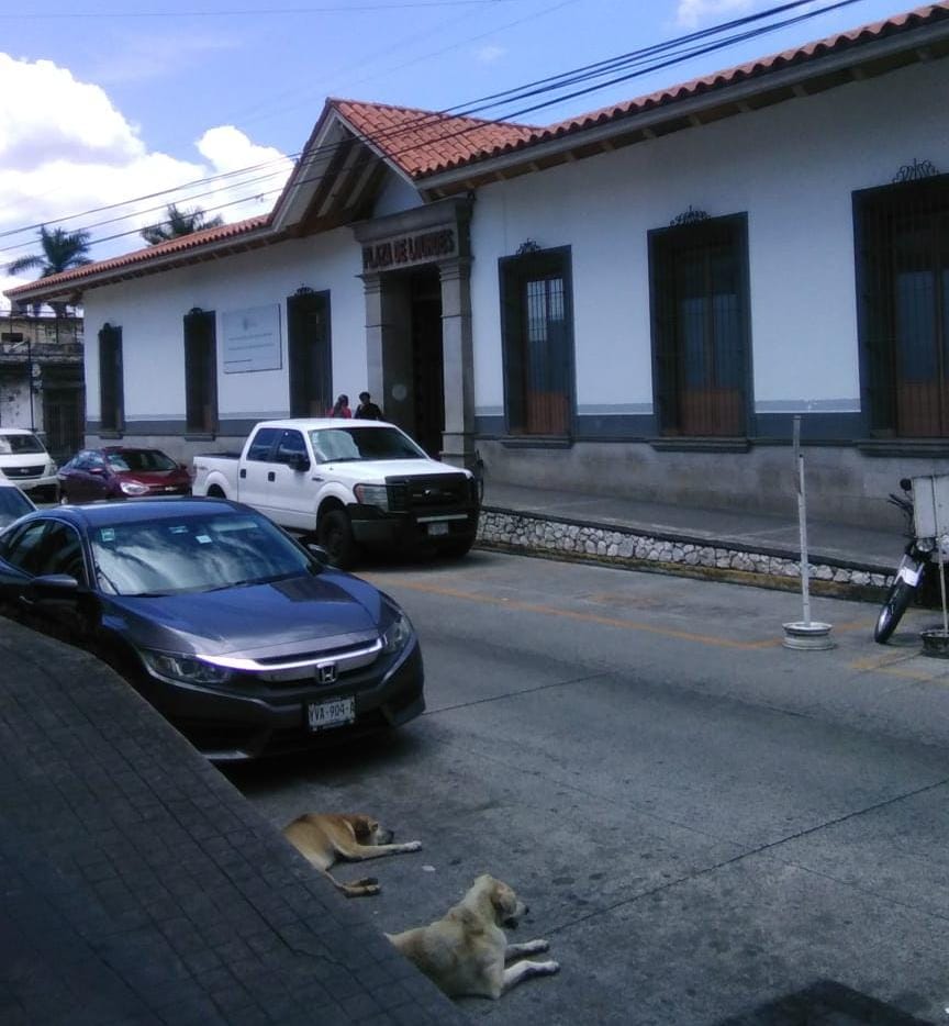 En discusión familiar matan a niño de 4 años en Córdoba