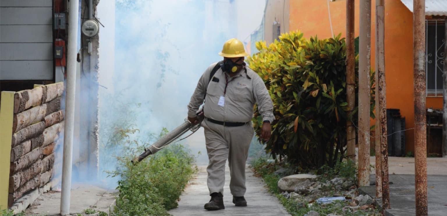 Activan estrategia conjunta para contener contagios del dengue en Veracruz: Sesver