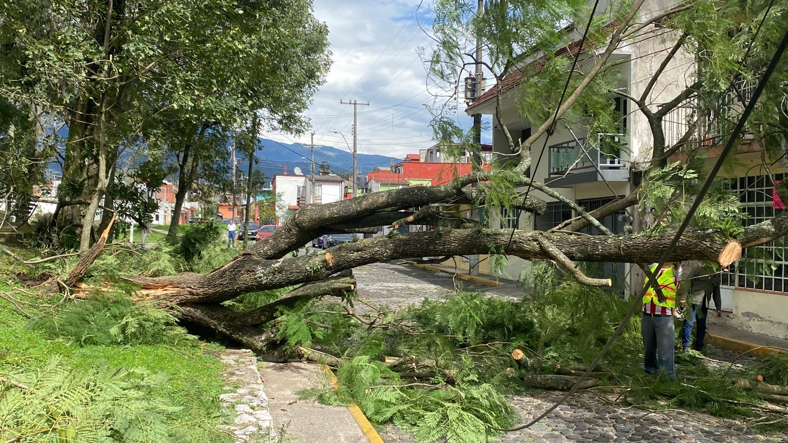 Surada provoca caída de 25 árboles y 8 postes, 3 autos dañados y 20 casas sin techo en Orizaba