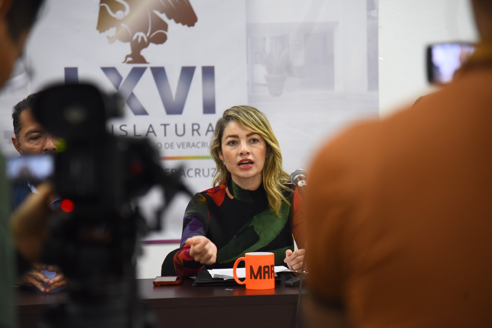 Diputada propone regular padrón de deudores alimentarios en Veracruz