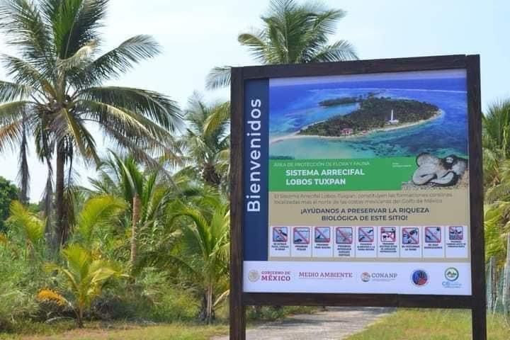 Por caso de gripe aviar cierran acceso a Isla Lobos