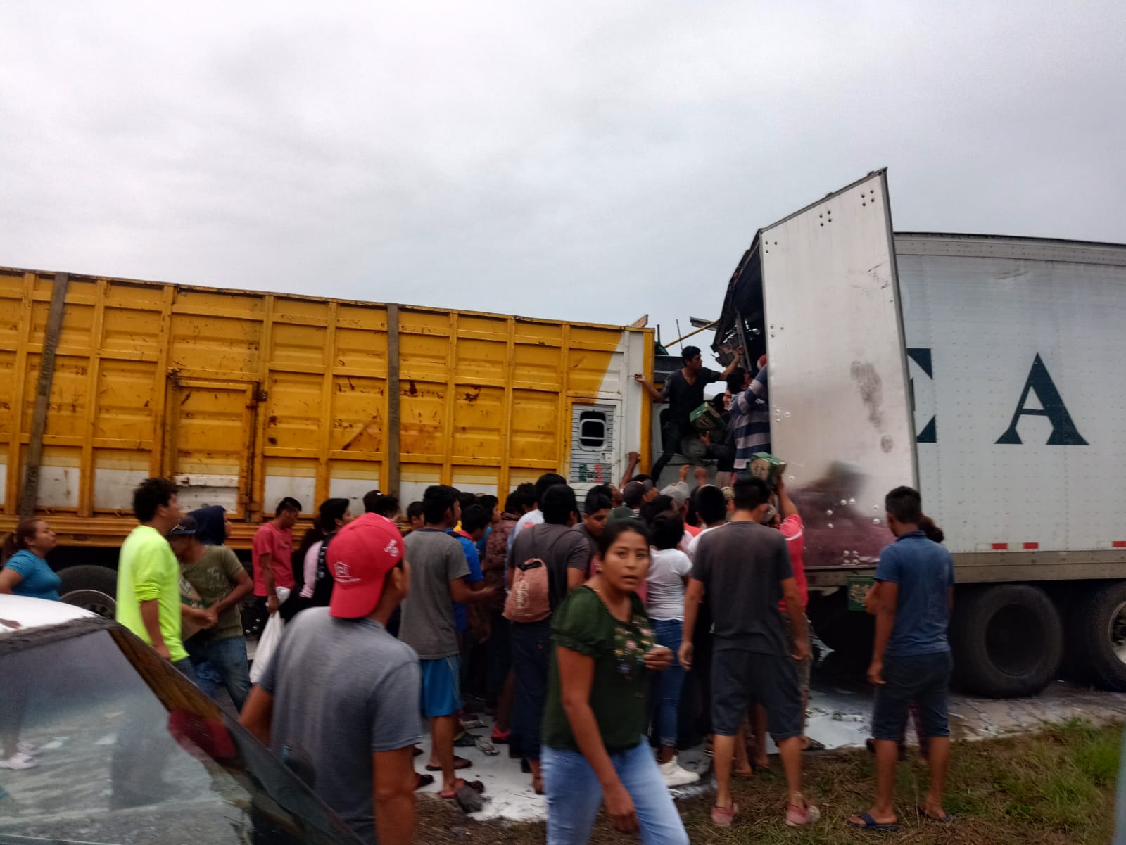 Rapiñeros roban 30 toneladas de leche de tráiler en la autopista Córdoba-Veracruz