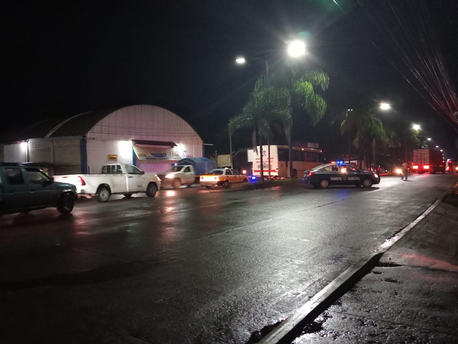 Adulto mayor muere atropellado en la carretera federal Córdoba-Veracruz