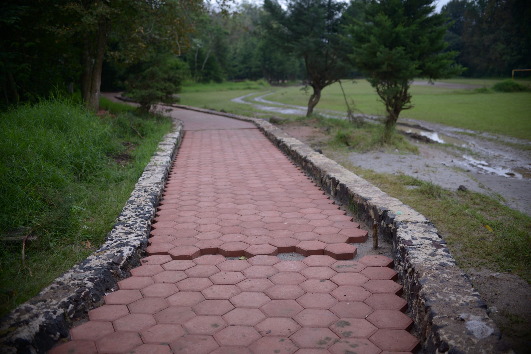 Inversión de 10 mdp para el rescate del parque ecológico Molino de San Roque