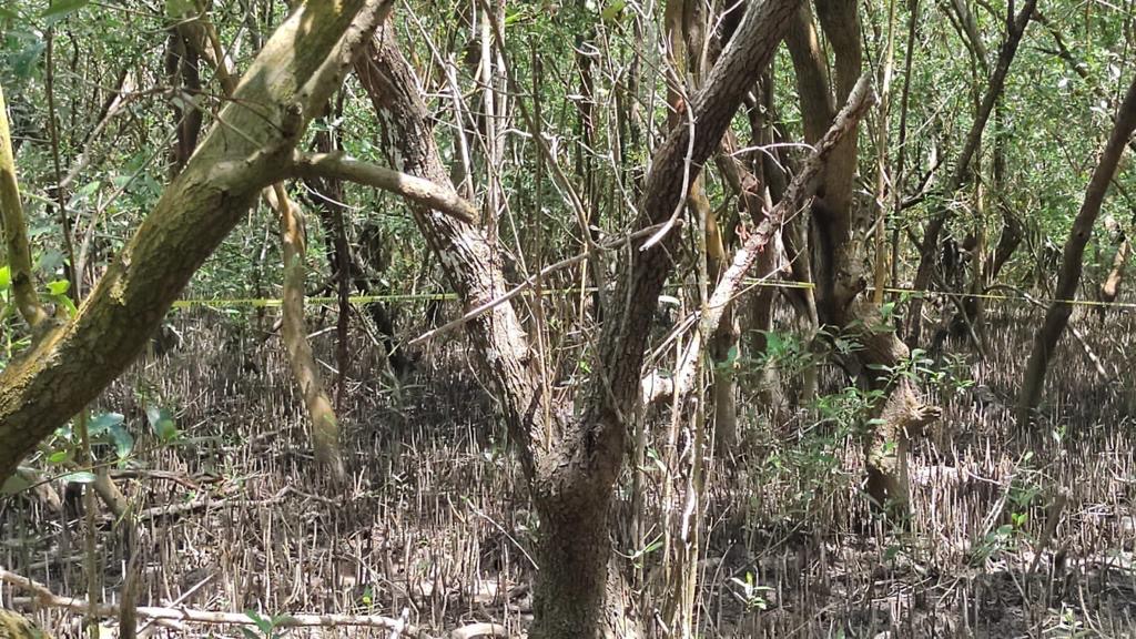 Un paraíso protegido transformado en fosa clandestina