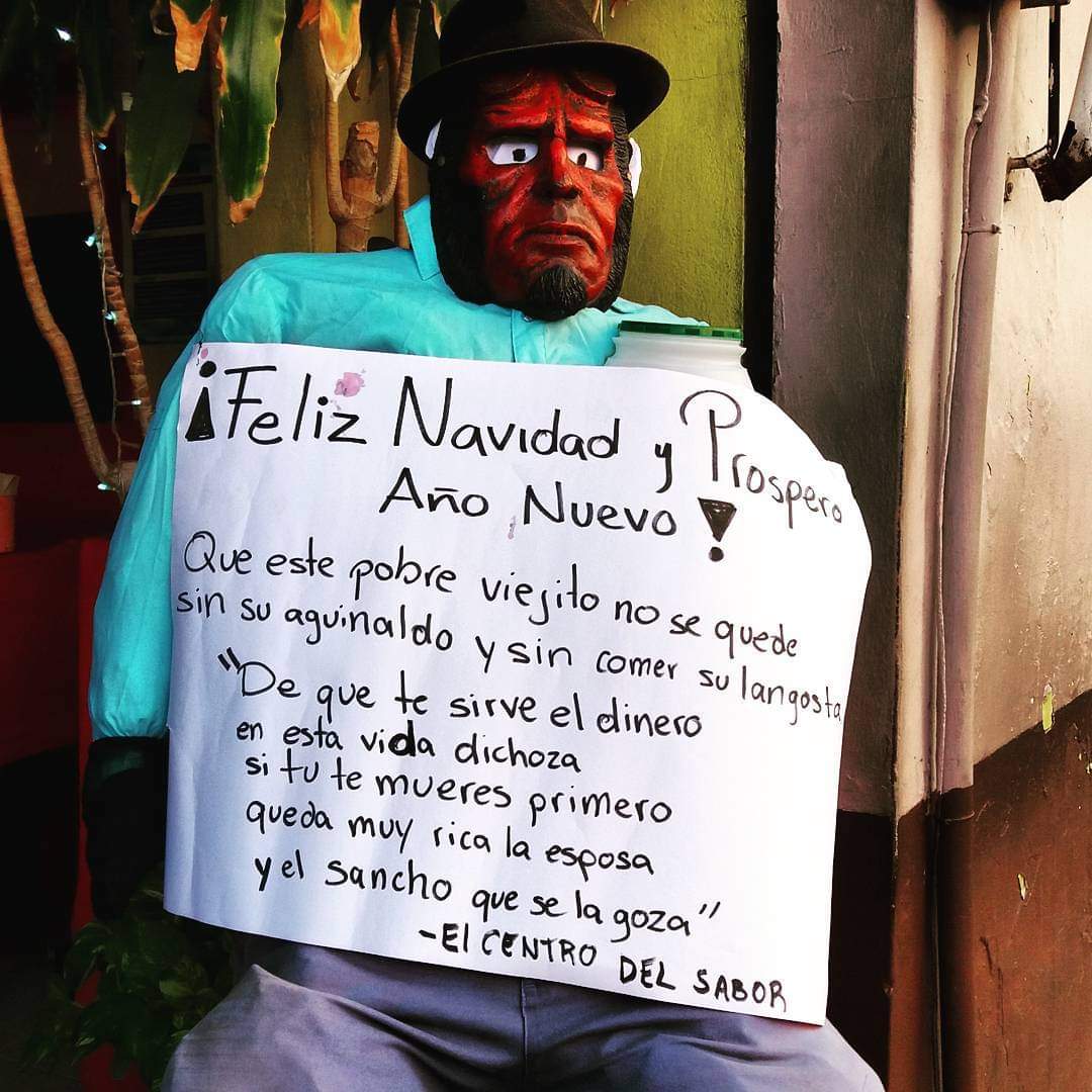 En fin de año mascotas volverán a vivir el terror por culpa del viejo: Ada Azul