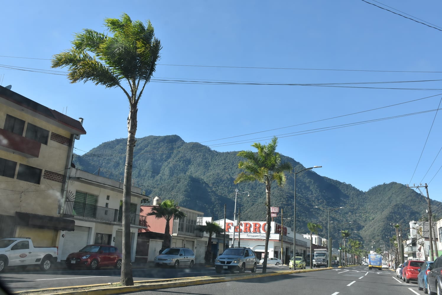 Destechamientos, caída de árboles y casas dañadas deja surada en centro de Veracruz