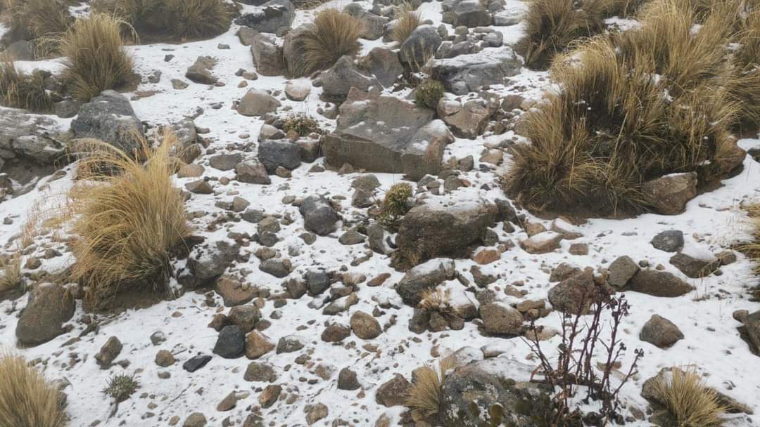 Prevén nieve y aguanieve en montañas de Veracruz este fin de semana