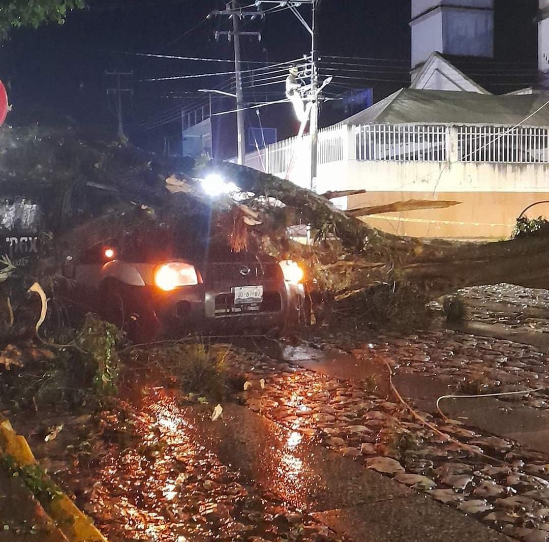 Árbol cae encima de patrulla del IPAX en el centro de Huatusco