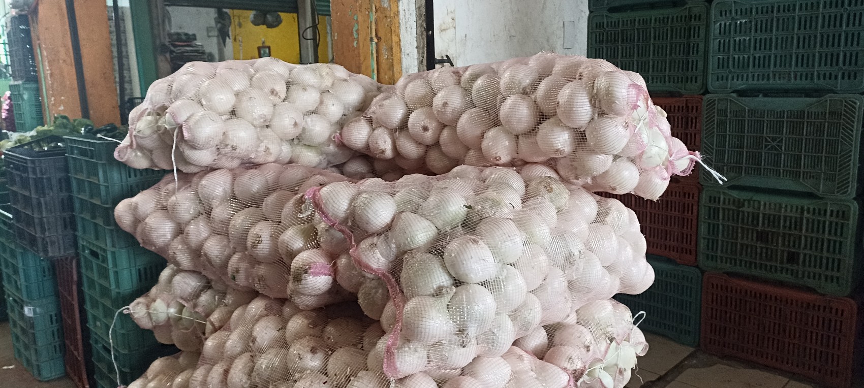 Supermercados venden más de 20 pesos más caro la cebolla blanca que en el mercado Malibrán de Veracruz